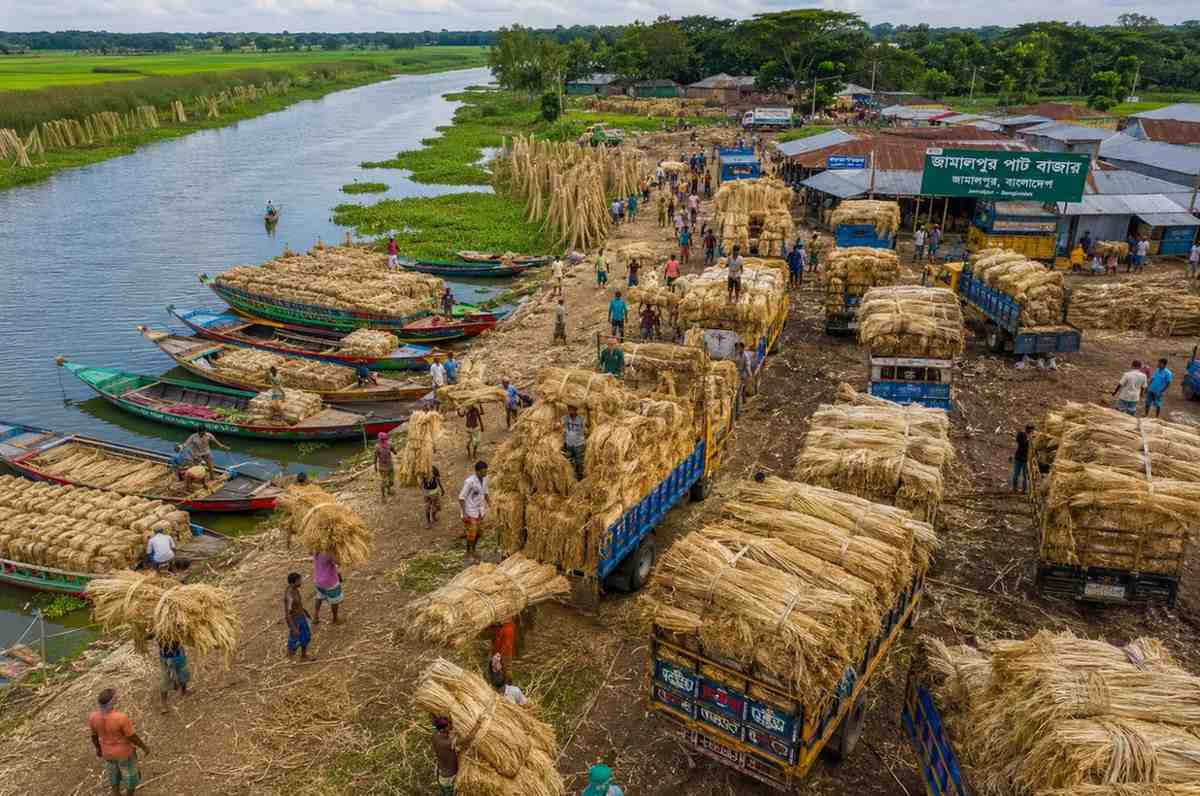 Branch Office Registration in Bangladesh